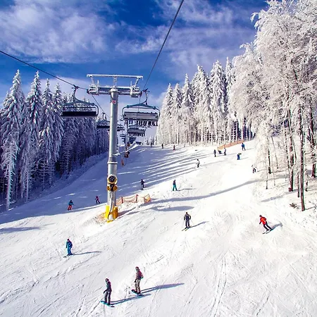 Daire Welcome In - Met Sauna En Terras Bij Skipiste - Neuastenberg-winterberg *